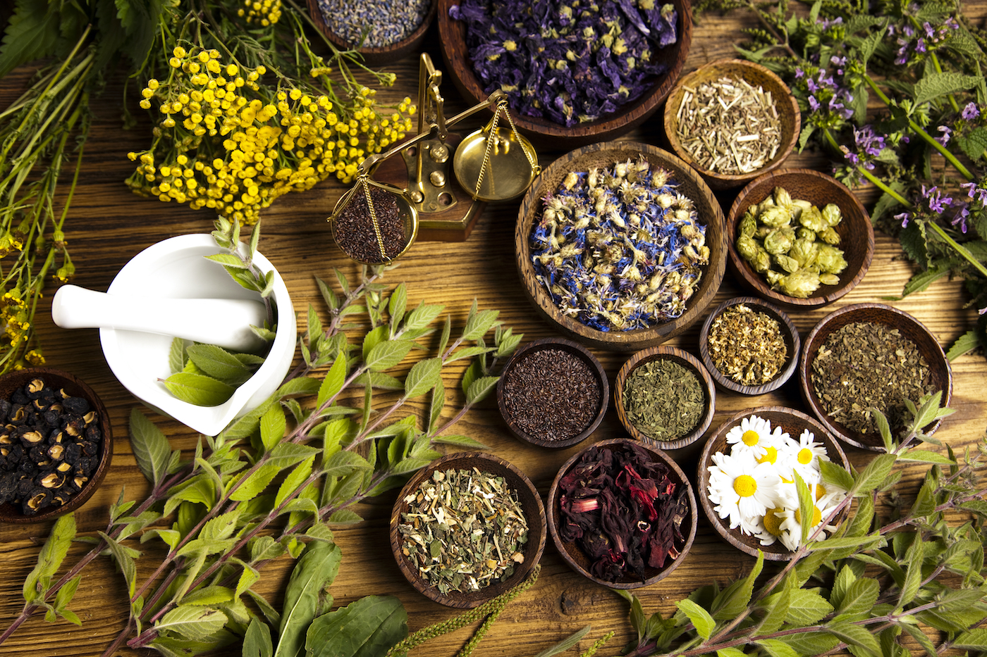 Herbs & Powders